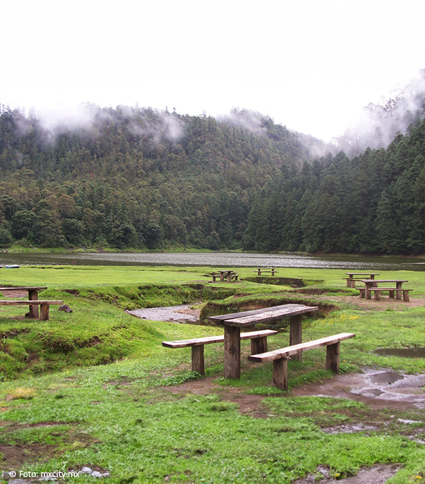 Disfruta el fin al aire libre en el Corredor Chichinautzin