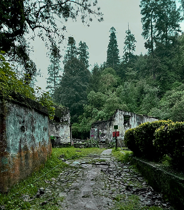 ¿Sabías que la CDMX tiene una joya verde? ¡Conoce el parque nacional Los Dinamos!