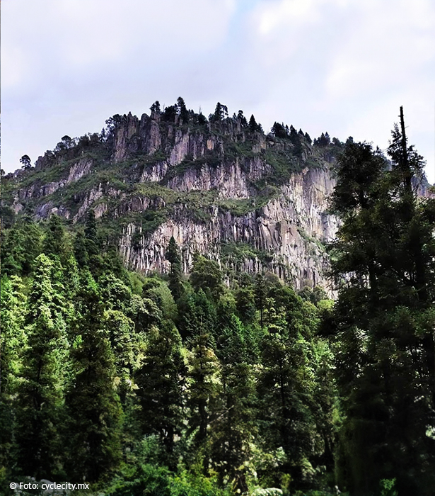 ¿Sabías que la CDMX tiene una joya verde? ¡Conoce el parque nacional Los Dinamos!