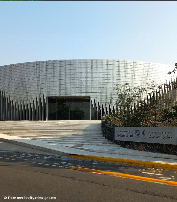 Este nuevo museo te encantará si te gusta la biodiversidad