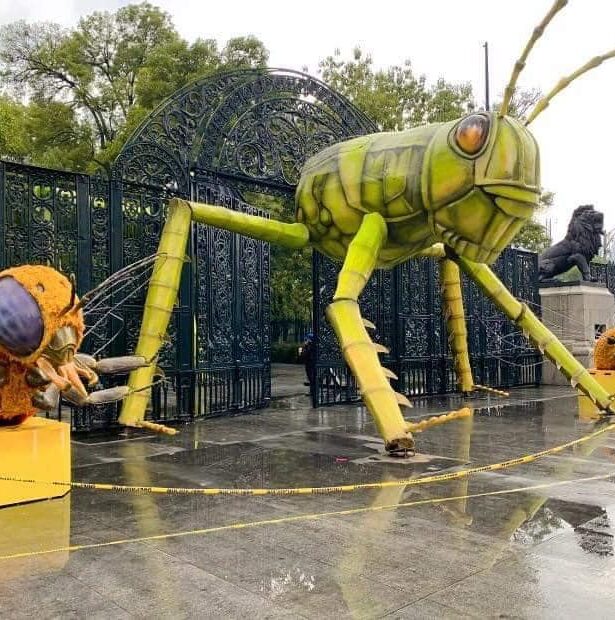 La exposición de murciélagos en Chapultepec que aún puedes ver