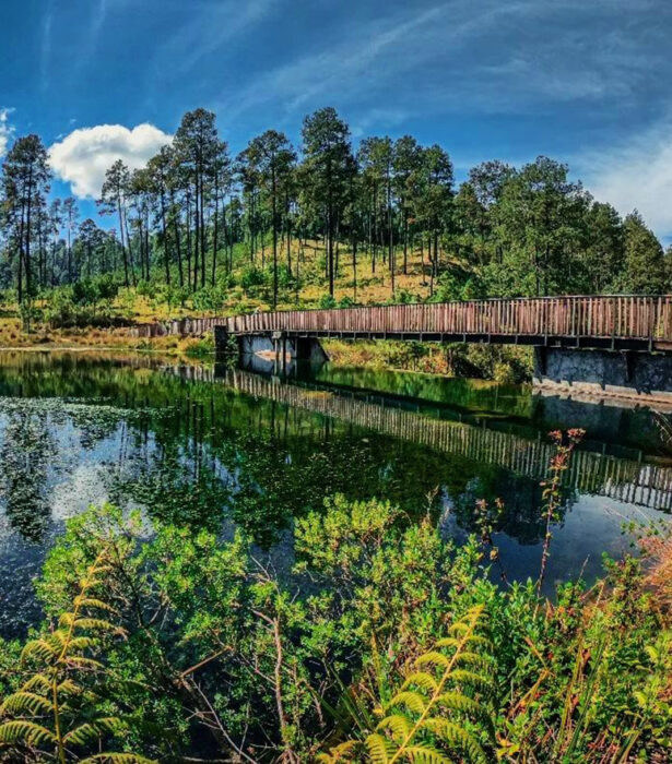 Este parque ecoturístico ofrece espectáculos naturales y recorridos todo el año