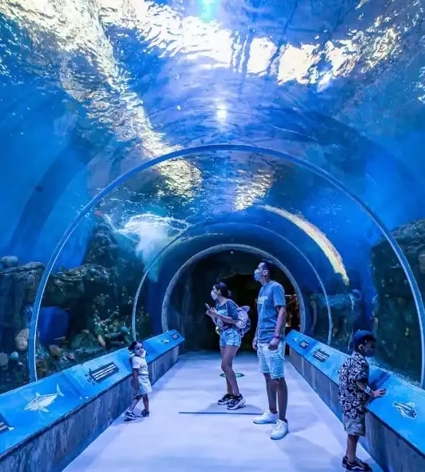 ¡Una aventura submarina en el Acuario Michin!