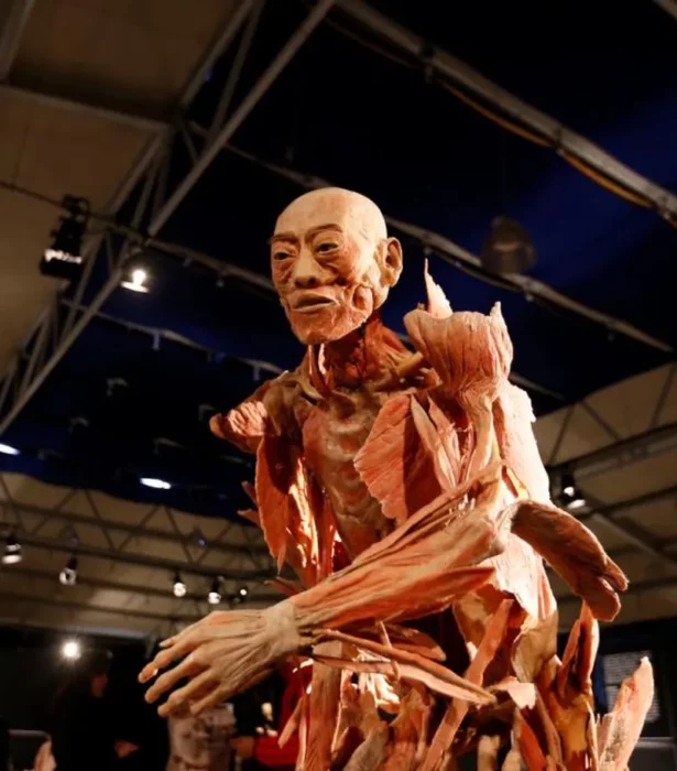 Descubre los Misterios del Cuerpo Humano en la Fascinante Exhibición “Our Body” en CDMX