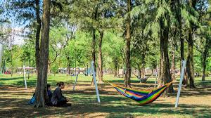 Descubre Diversión al Aire Libre en el Bosque de Aragón