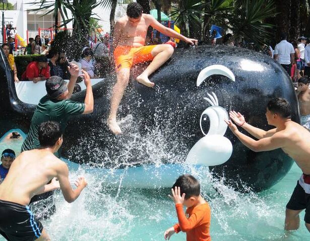 La ballenita parque acuático