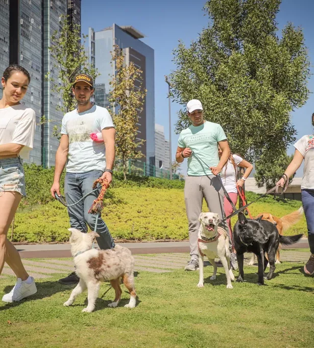 Parque La Mexicana un lugar perfecto para tu perrihijo