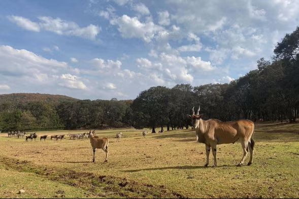 Llegaron las vacaciones vamos a ¡Bioparque Estrella!