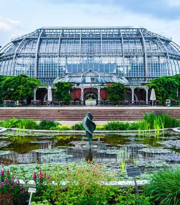 Descubre el Jardín botánico de la UNAM